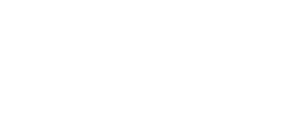 City of Birmingham Symphony Orchestra Logo in white